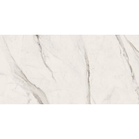 GARDENIA ORCHIDEA 67600 MAXIMVS STATUARIO WHITE NAT R 60X120 9mm