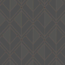 York Geometric Resource Library GM7554