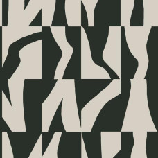 York Geometric Resource Library GM7580