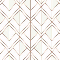 York Geometric Resource Library GM7551