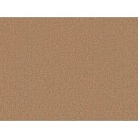 BN International Grand Safari 220522