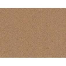 BN International Grand Safari 220522