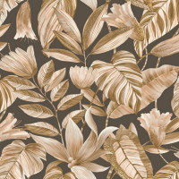 GRANDECO Belize BZ3108