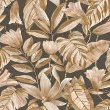 GRANDECO Belize BZ3108