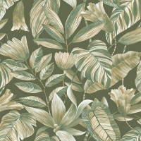 GRANDECO Belize BZ3106