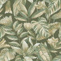 GRANDECO Belize BZ3106