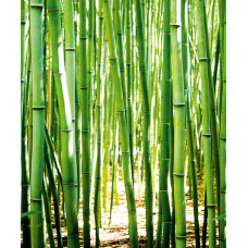 Grandeco ONE ROLL ONE MOTIF II NEW A36901