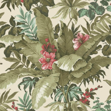 GRANDECO Asperia A55802