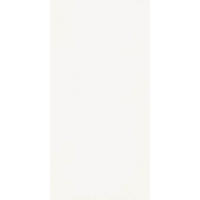 Paradyz classica HARMONY BIANCO SCIANA 30X60 G1