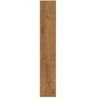 Atlas Concorde Heartwood Brandy 20x120 Matt 9мм (AL85)