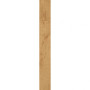 Atlas Concorde Heartwood Malt 18,5x150 (AL68)