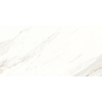 Argenta Hera White Polished Porcelanico RC 60*120