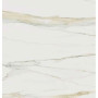 Rex I Classici Cal.Gold 120x120 Re Glo (750702)