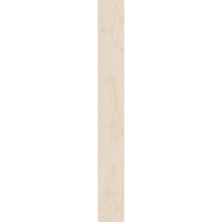 Paradyz ICELAND IVORY GRES SZKL. REKT. 14,8X119,8 G1