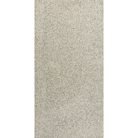 Fiandre ILVenezianoSeminatoArgento120x60(AL246X1064)