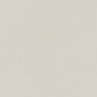 Tubądzin Industrio Light Grey 119,8x59,8 Gat.1