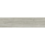 INTERGRES TIMBER Світло-Бежевий 021 19х89