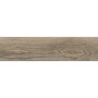 INTERGRES GEOWOOD Темно-Бежевий 022 15х60