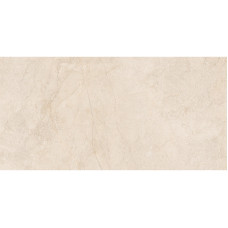 INTERGRES SURFACE Світло-Коричневий 031 240х120