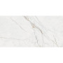 INTERGRES FLORINO Сірий Полірованний 071/L 120х60
