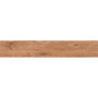 INTERGRES GRANDWOOD Темно-Бежевий 022 20х120