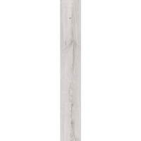 IVC 400055183 Southern Oak