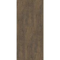 IVC 400055177  Scrub Oak