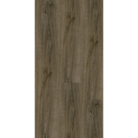 IVC 400055172  European Oak