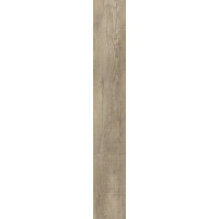 IVC 400055176 Scrub Oak