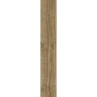 IVC 400055170  European Oak