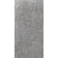 LA FABBRICA JUNGLE STONE SILVER NAT RET 30х60 M085 (154021)