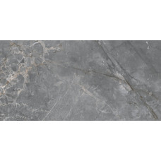 Keraben Fior Di Bosco Grey Starlight polished 60*120