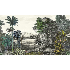 Khroma WALL DESIGNS II DG2SAF1013