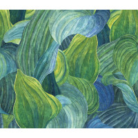 Khroma WALL DESIGNS II DG2HOS1012