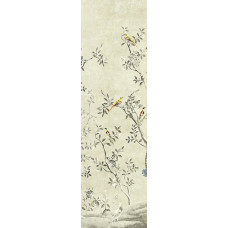 Khroma WALL DESIGNS II DG2VOL1011