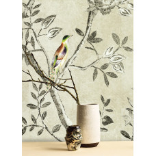 Khroma WALL DESIGNS II DG2VOL1012