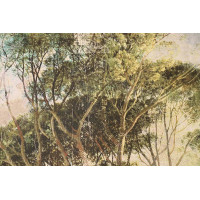 Khroma WALL DESIGNS II DG2HYM1012
