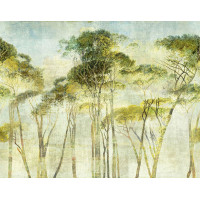 Khroma WALL DESIGNS II DG2HYM1013
