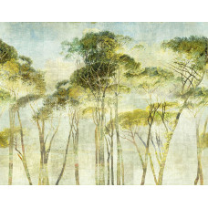 Khroma WALL DESIGNS II DG2HYM1013