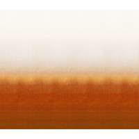 Khroma WALL DESIGNS II DG2SHA105