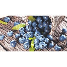 LASSELSBERGER BLUEBERRY