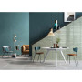RONDINE J88361 LCCH SALVA