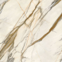 LEA LS8S510 SLIMTECH SYNESTESIA GOLDEN BORG SMOOTH