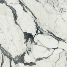 Rex Les Bijoux Calacatta Altissimo Blanc 60x120 (766329)