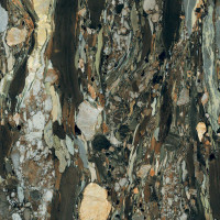 Rex Les Bijoux Quatre Saisons 60X120 R GLO 6mm (765787)