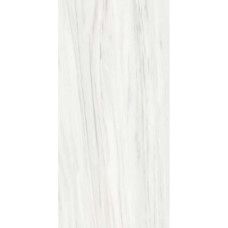 Rex Les Origines Ombre Doree 60x120 (769857)