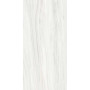 Rex Les Origines Ombre Doree 60x120 (769857)