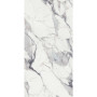 Rex Les Origines Argent 60x120 (769855)