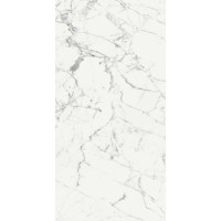 Rex Les Origines Blanc 60x120 (769856)