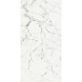 Rex Les Origines Blanc 60x120 (769860)